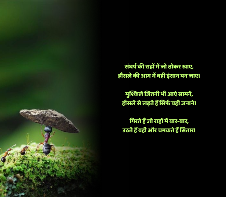 संघर्ष हौसला पर शायरी