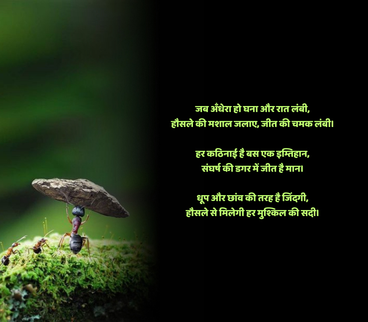 संघर्ष हौसला पर शायरी