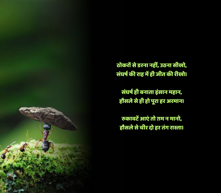 संघर्ष हौसला पर शायरी