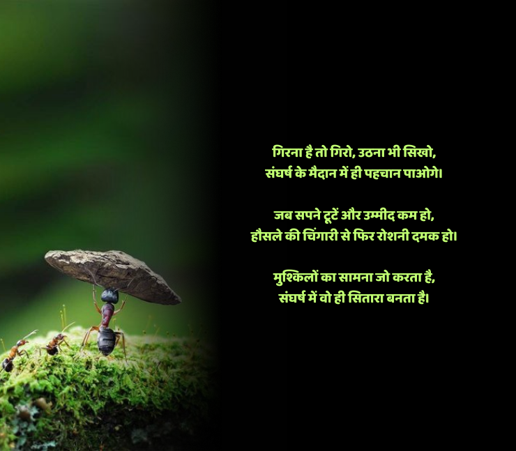 संघर्ष हौसला पर शायरी