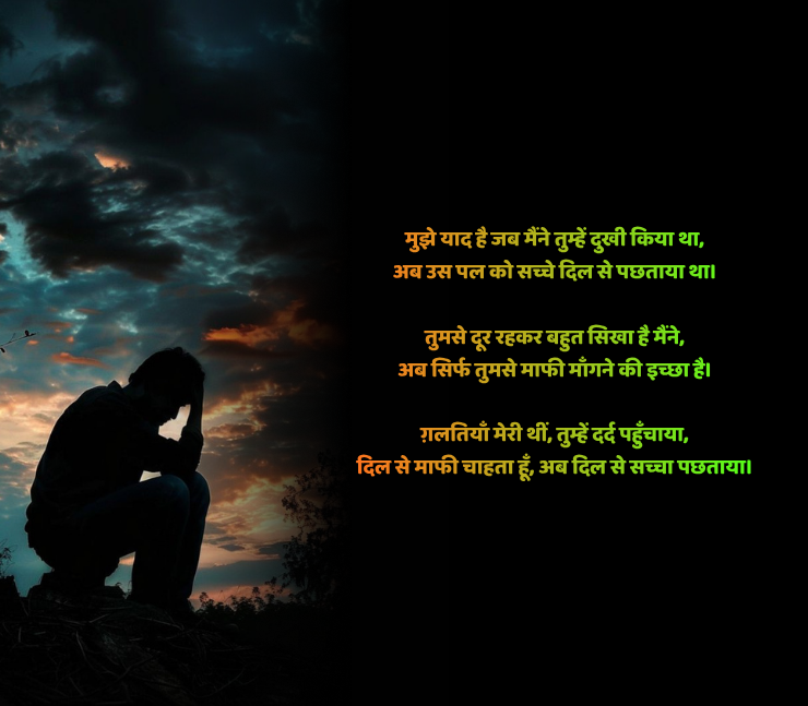 Hurt Sorry Shayari