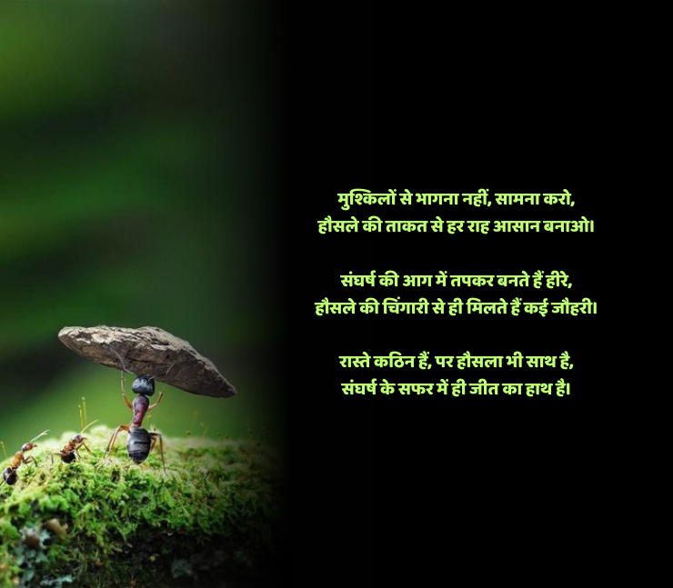 संघर्ष हौसला पर शायरी