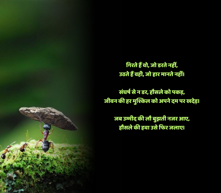 संघर्ष हौसला पर शायरी