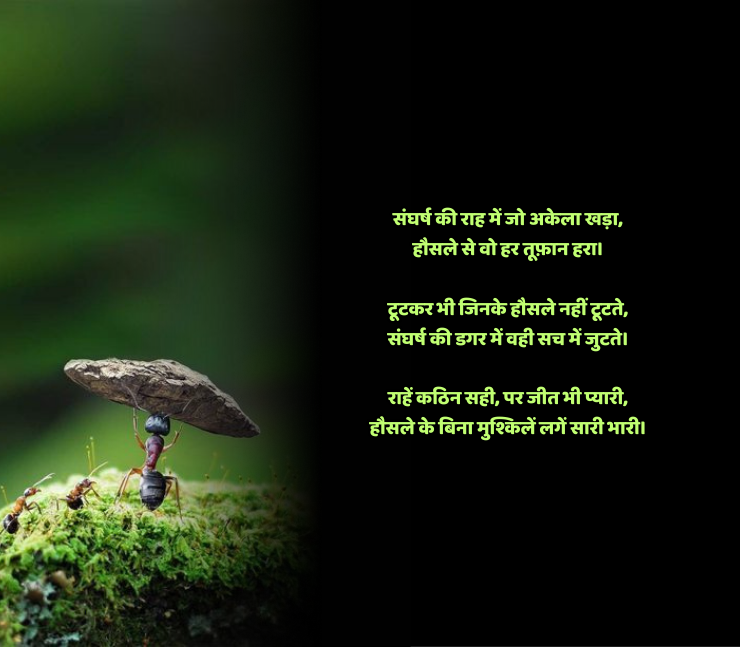 संघर्ष हौसला पर शायरी