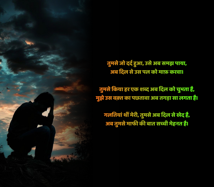 Hurt Sorry Shayari